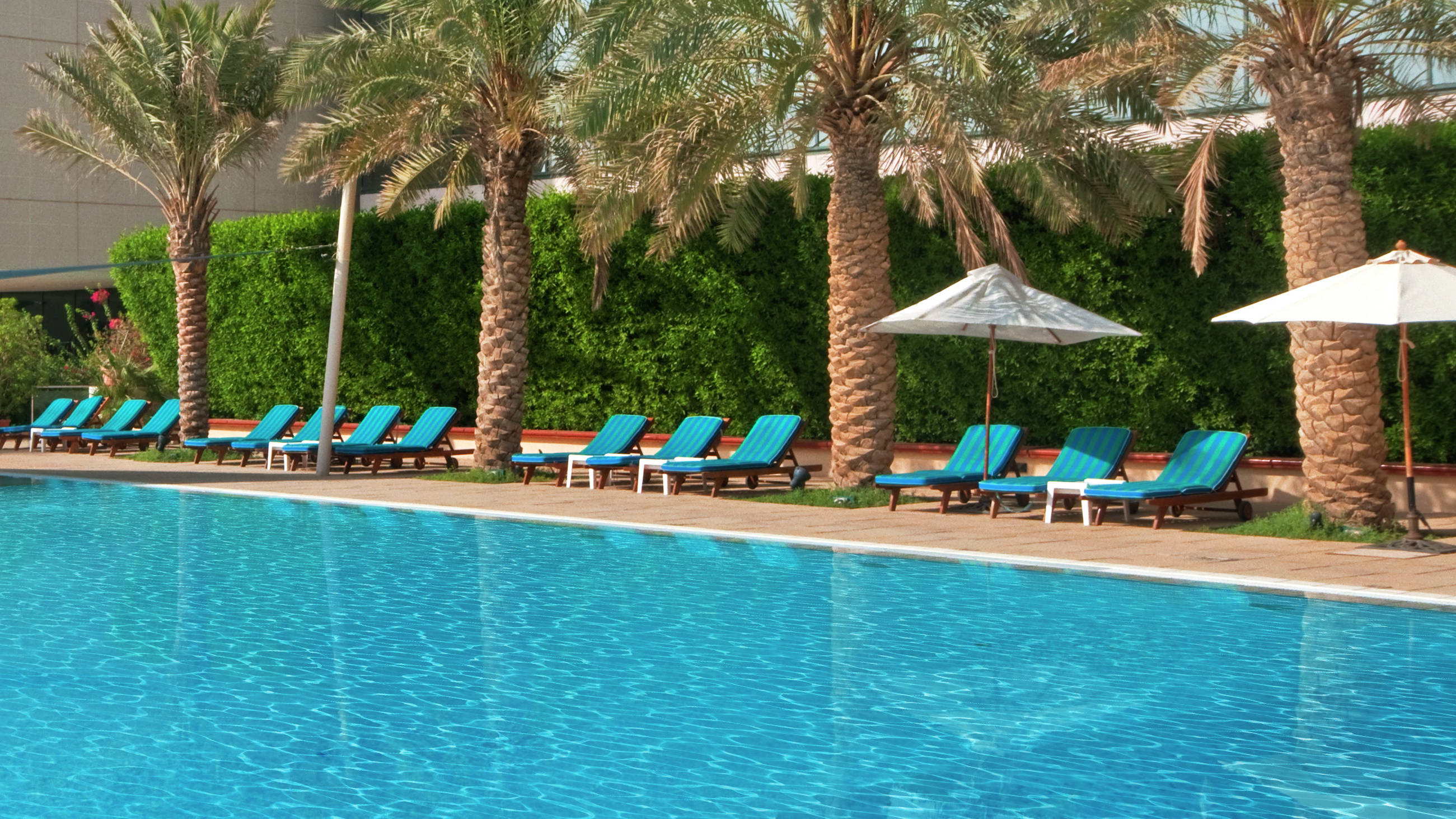 Resort Hilton Kuwait Resort Arabian Gulf Hotel